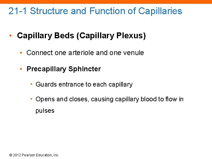 21 -1 Structure and Function of Capillaries • Capillary Beds (Capillary Plexus) • Connect
