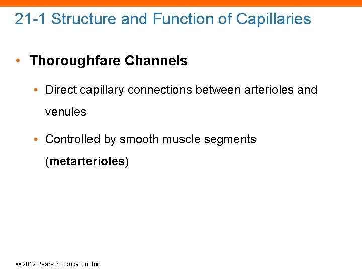 21 -1 Structure and Function of Capillaries • Thoroughfare Channels • Direct capillary connections