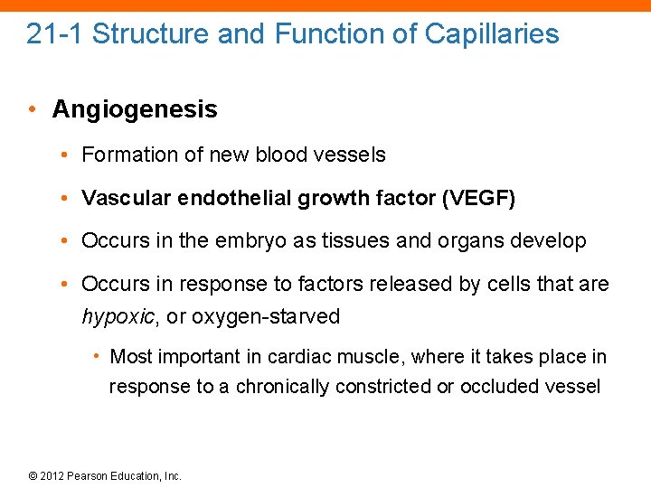 21 -1 Structure and Function of Capillaries • Angiogenesis • Formation of new blood