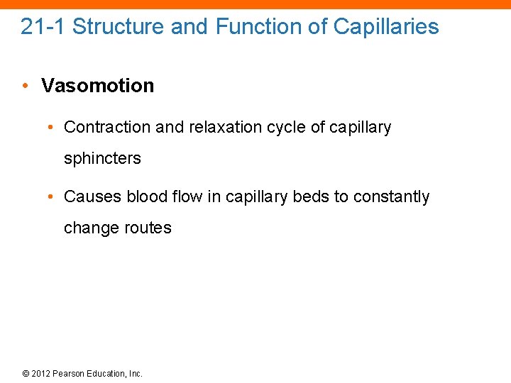 21 -1 Structure and Function of Capillaries • Vasomotion • Contraction and relaxation cycle