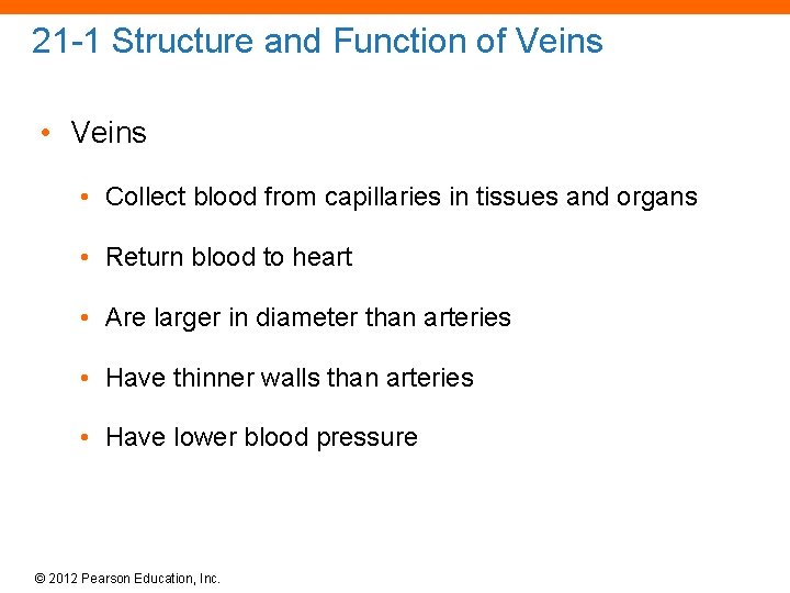 21 -1 Structure and Function of Veins • Collect blood from capillaries in tissues