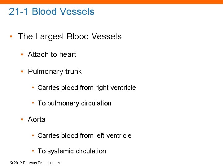 21 -1 Blood Vessels • The Largest Blood Vessels • Attach to heart •