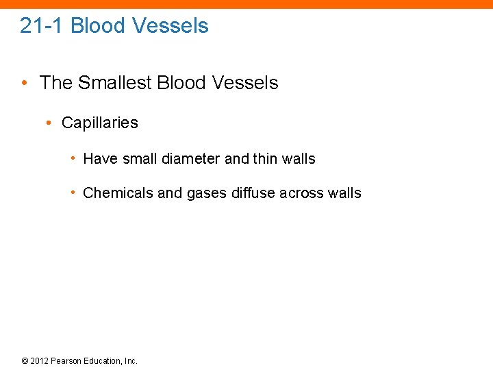 21 -1 Blood Vessels • The Smallest Blood Vessels • Capillaries • Have small
