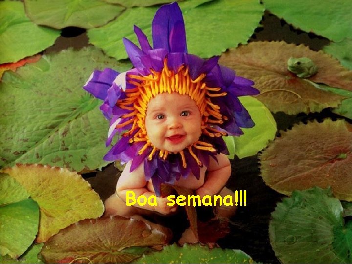 Boa semana!!! 