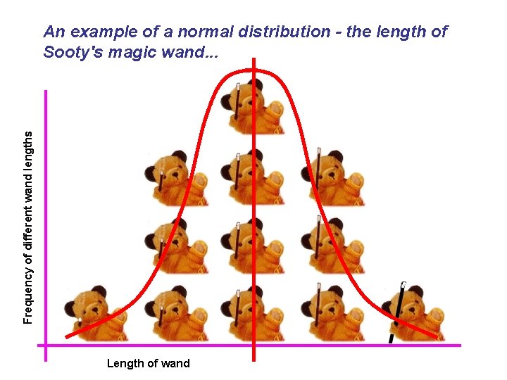 Frequency of different wand lengths An example of a normal distribution - the length