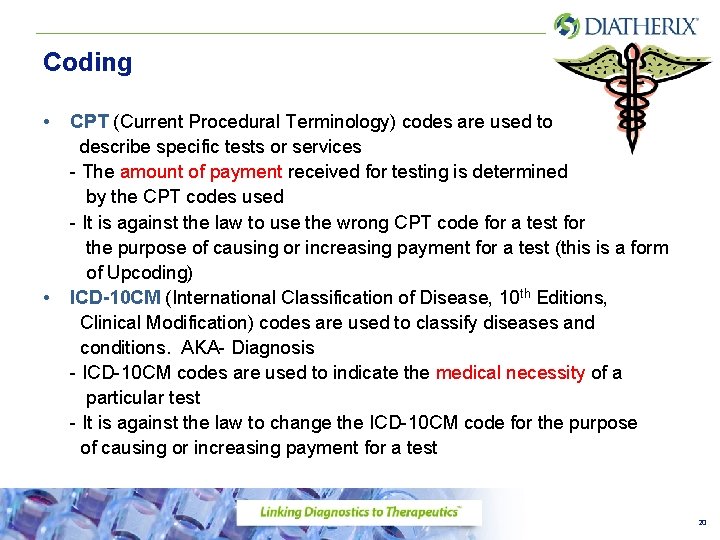 Coding • • CPT (Current Procedural Terminology) codes are used to describe specific tests