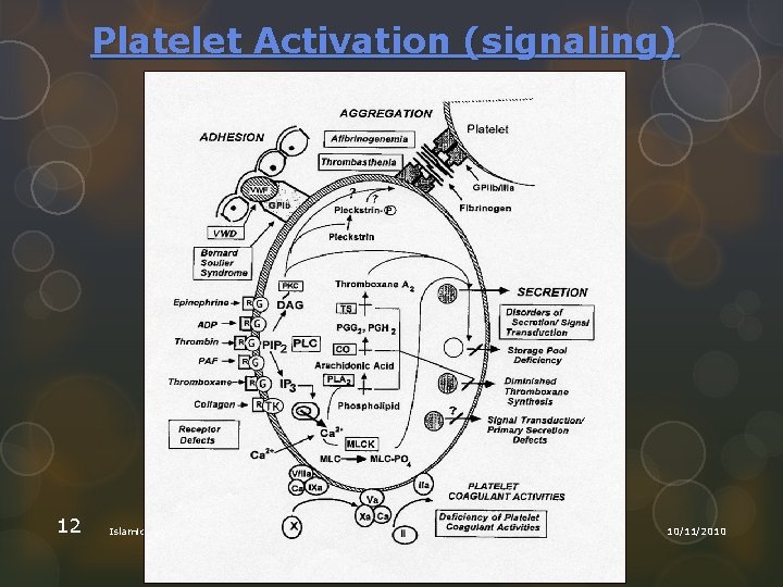 Platelet Activation (signaling) 12 Islamic Unversity of Gaza 10/11/2010 