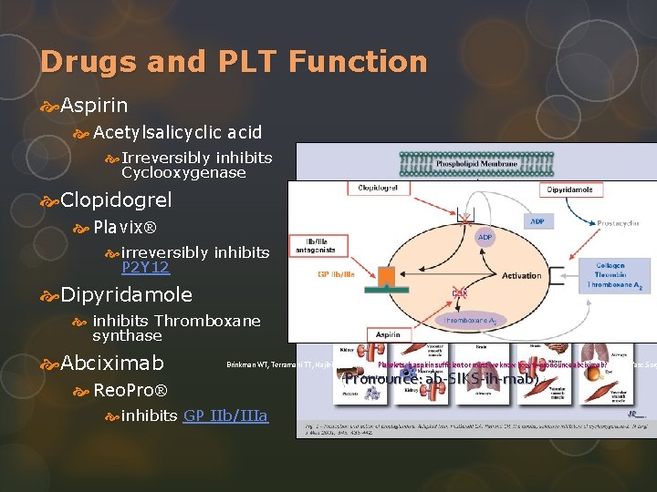 Drugs and PLT Function Aspirin Acetylsalicyclic acid Irreversibly inhibits Cyclooxygenase Clopidogrel Plavix irreversibly inhibits
