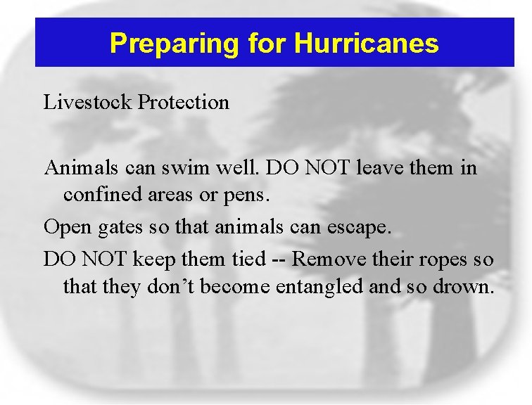 Preparing for Hurricanes Livestock Protection Animals can swim well. DO NOT leave them in