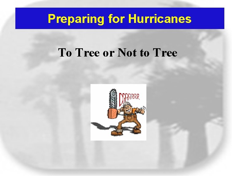 Preparing for Hurricanes To Tree or Not to Tree 