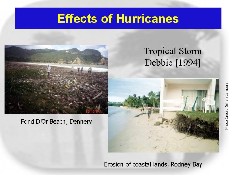 Effects of Hurricanes Photo Credit: Gillian Cambers Tropical Storm Debbie [1994] Fond D’Or Beach,