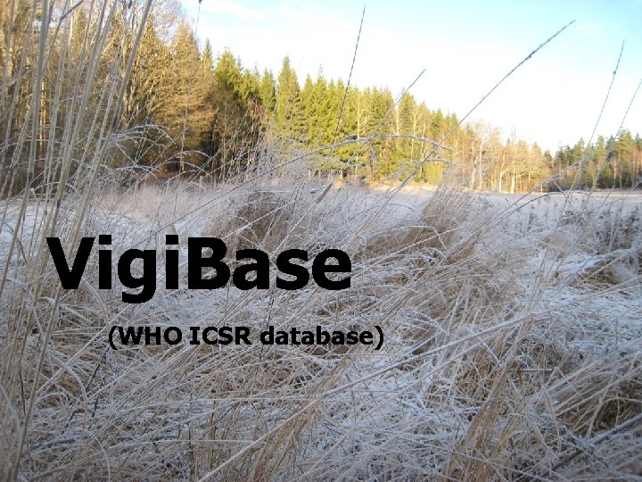 Vigi. Base (WHO ICSR database) Magnus Wallberg, UMC 