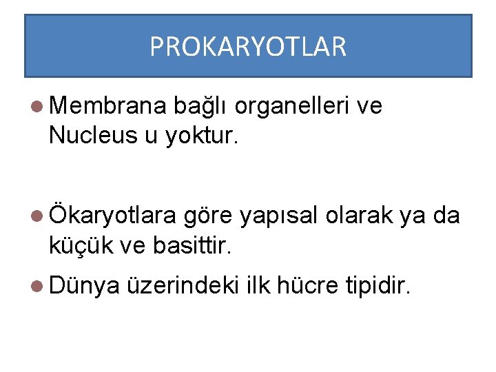 PROKARYOTLAR l Membrana bağlı organelleri ve Nucleus u yoktur. l Ökaryotlara göre yapısal olarak