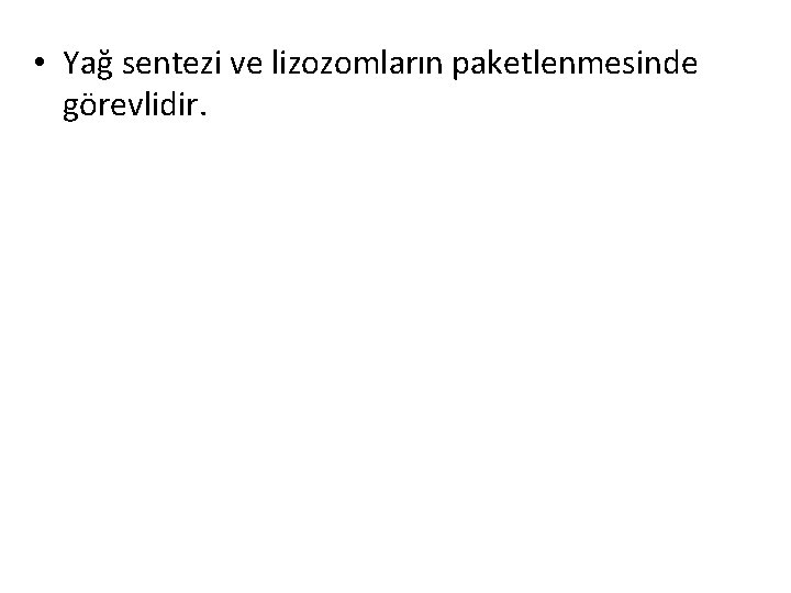  • Yağ sentezi ve lizozomların paketlenmesinde görevlidir. 