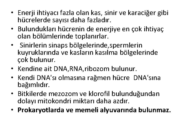  • Enerji ihtiyacı fazla olan kas, sinir ve karaciğer gibi hücrelerde sayısı daha