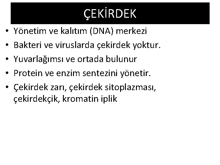 ÇEKİRDEK • • • Yönetim ve kalıtım (DNA) merkezi Bakteri ve viruslarda çekirdek yoktur.