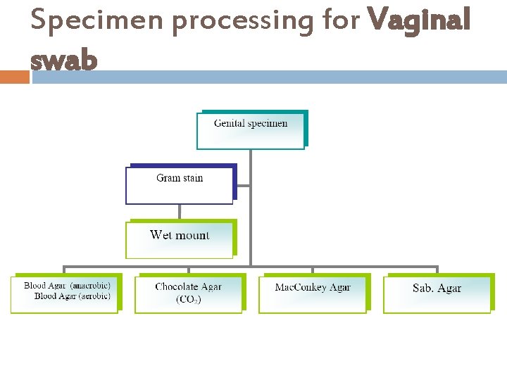 Specimen processing for Vaginal swab 