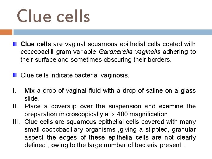 Clue cells are vaginal squamous epithelial cells coated with coccobacilli gram variable Gardnerella vaginalis