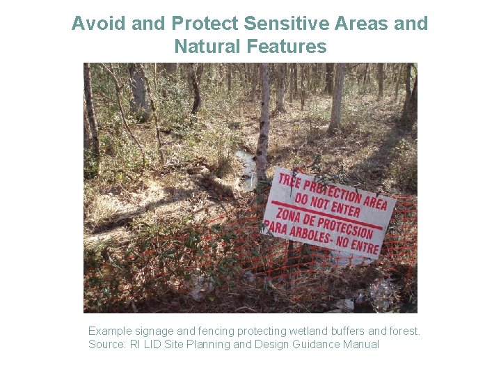 Avoid and Protect Sensitive Areas and Natural Features Example signage and fencing protecting wetland