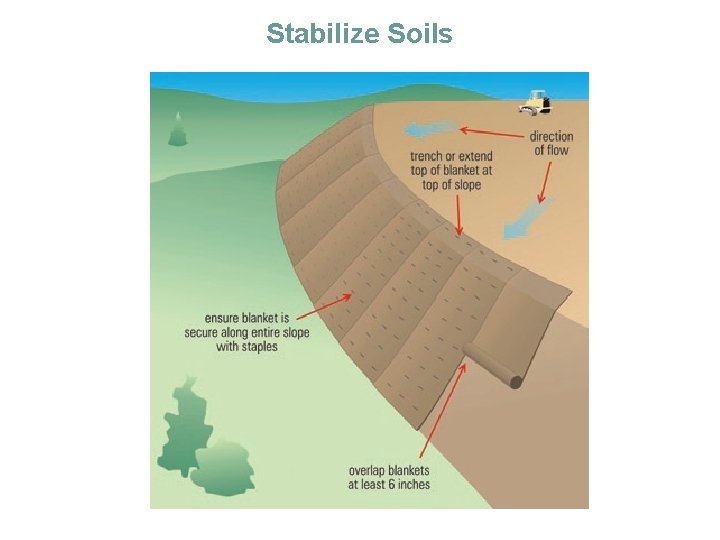 Stabilize Soils 