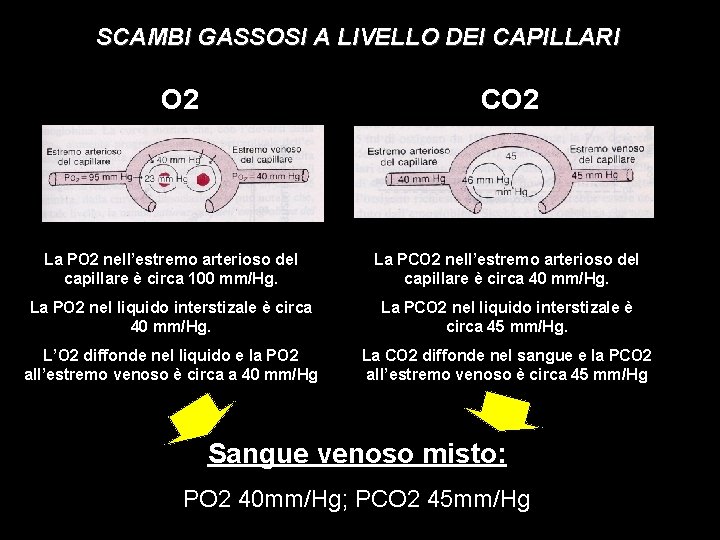 SCAMBI GASSOSI A LIVELLO DEI CAPILLARI O 2 CO 2 La PO 2 nell’estremo