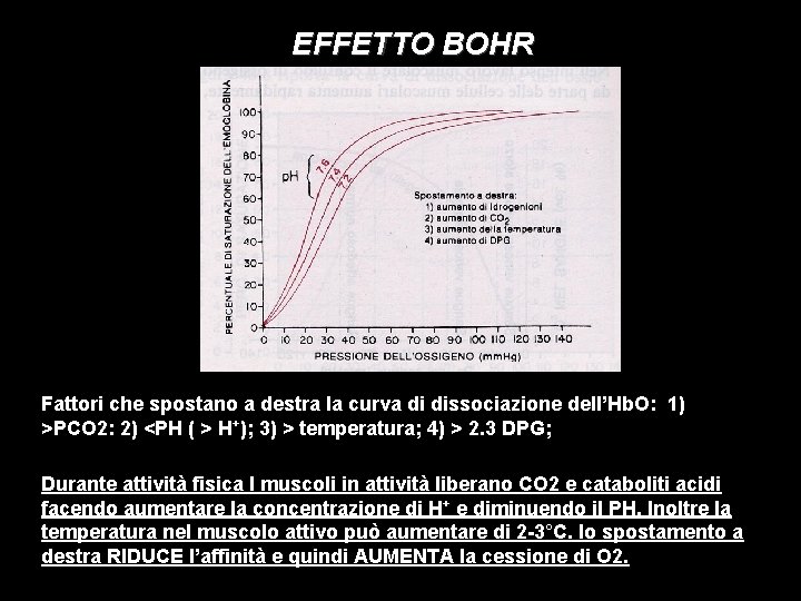 EFFETTO BOHR Fattori che spostano a destra la curva di dissociazione dell’Hb. O: 1)