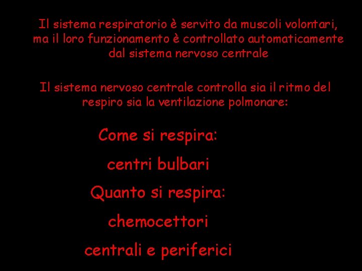 Il sistema respiratorio è servito da muscoli volontari, ma il loro funzionamento è controllato