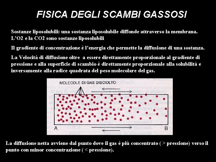 FISICA DEGLI SCAMBI GASSOSI Sostanze liposolubili: una sostanza liposolubile diffonde attraverso la membrana. L’O