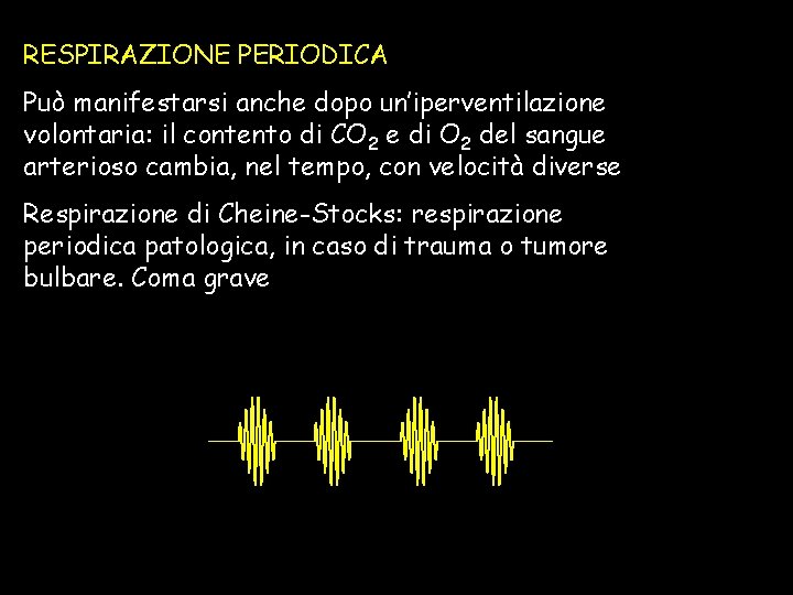 RESPIRAZIONE PERIODICA Può manifestarsi anche dopo un’iperventilazione volontaria: il contento di CO 2 e