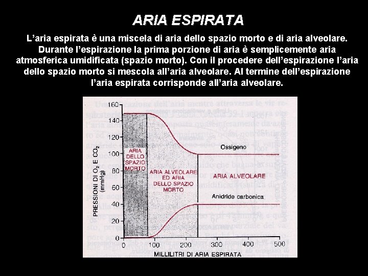 ARIA ESPIRATA L’aria espirata è una miscela di aria dello spazio morto e di