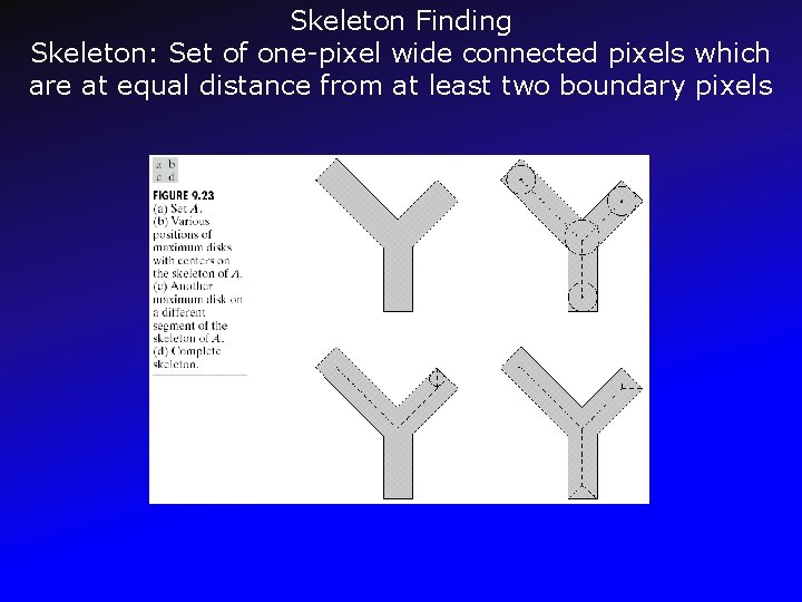 Skeleton Finding Skeleton: Set of one-pixel wide connected pixels which are at equal distance