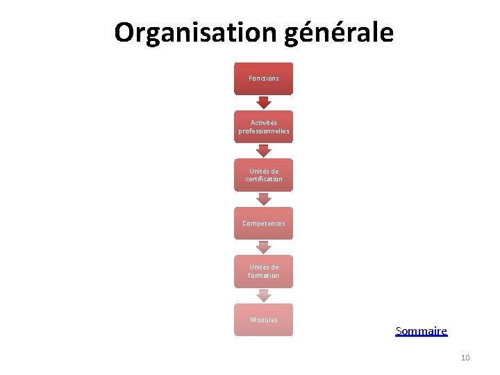 Organisation générale Fonctions Activités professionnelles Unités de certification Compétences Unités de formation Modules Modularisation