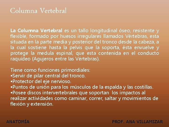 Columna Vertebral La Columna Vertebral es un tallo longitudinal óseo, resistente y flexible, formado