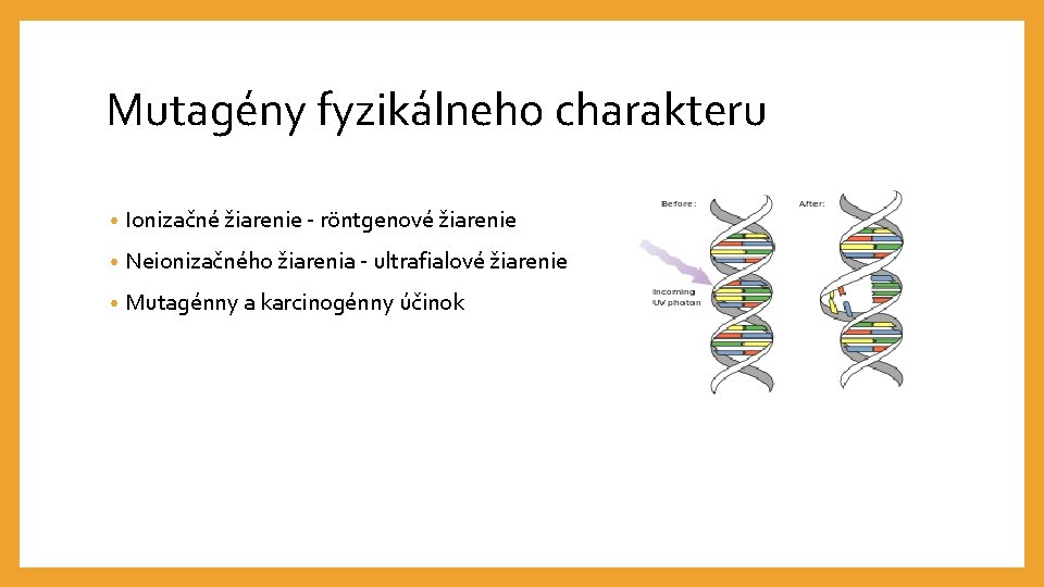 Mutagény fyzikálneho charakteru • Ionizačné žiarenie - röntgenové žiarenie • Neionizačného žiarenia - ultrafialové