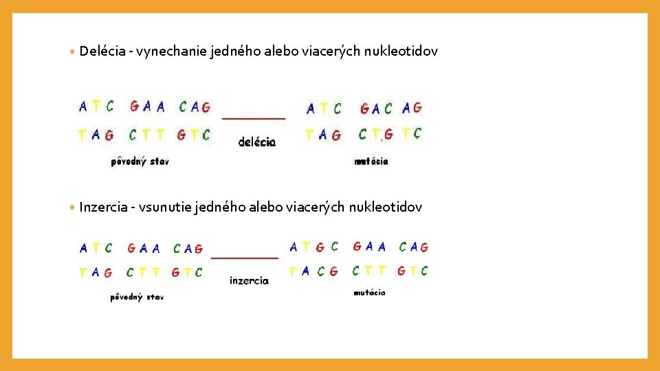  • Delécia - vynechanie jedného alebo viacerých nukleotidov • Inzercia - vsunutie jedného