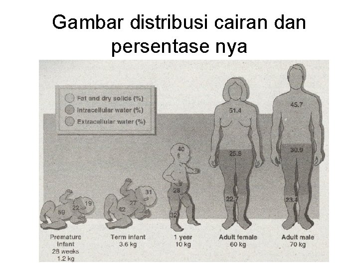 Gambar distribusi cairan dan persentase nya 