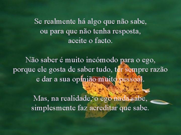 Se realmente há algo que não sabe, ou para que não tenha resposta, aceite