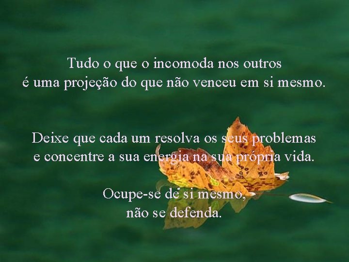 Tudo o que o incomoda nos outros é uma projeção do que não venceu