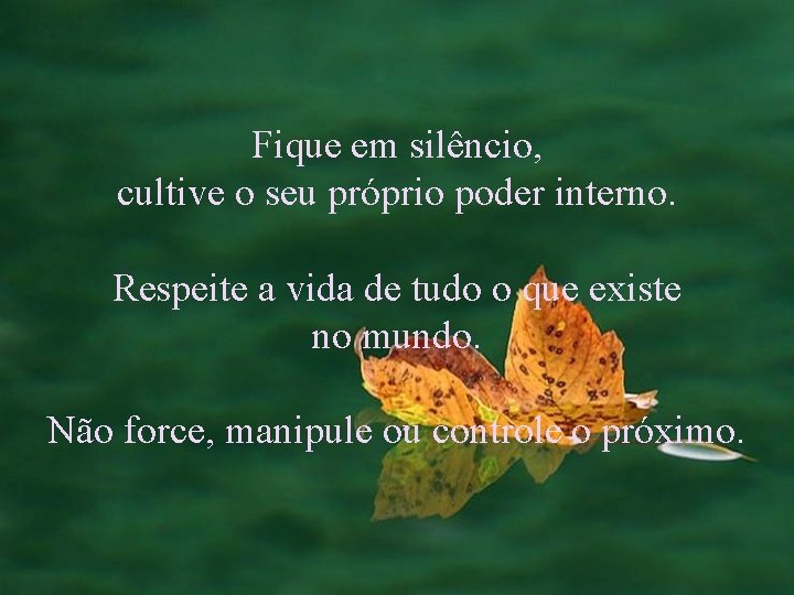 Fique em silêncio, cultive o seu próprio poder interno. Respeite a vida de tudo