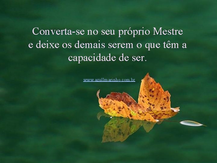 Converta-se no seu próprio Mestre e deixe os demais serem o que têm a