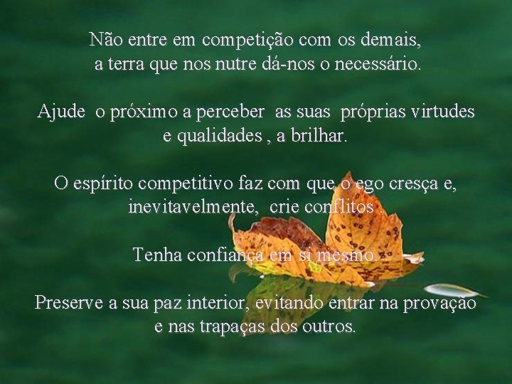 Não entre em competição com os demais, a terra que nos nutre dá-nos o