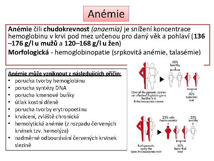 Anémie čili chudokrevnost (anaemia) je snížení koncentrace hemoglobinu v krvi pod mez určenou pro