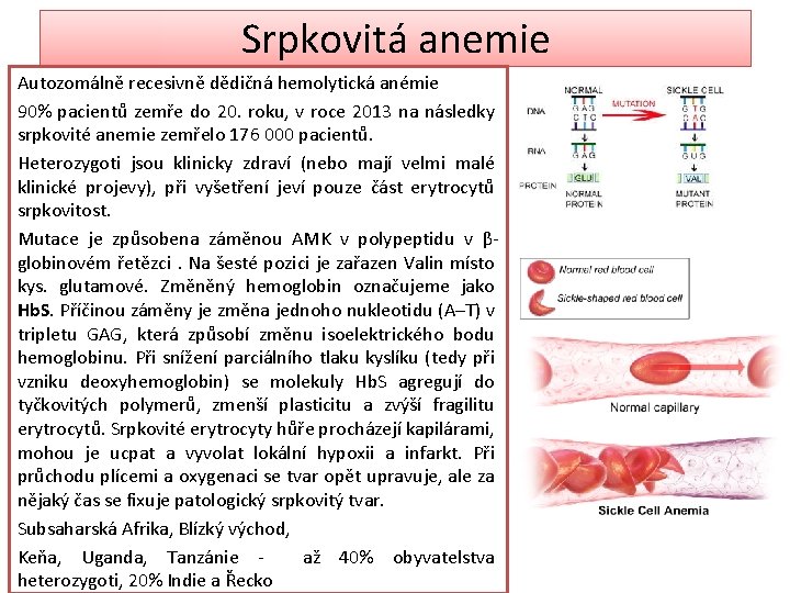 Srpkovitá anemie Autozomálně recesivně dědičná hemolytická anémie 90% pacientů zemře do 20. roku, v