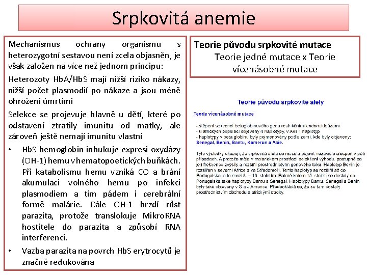 Srpkovitá anemie Mechanismus ochrany organismu s heterozygotní sestavou není zcela objasněn, je však založen