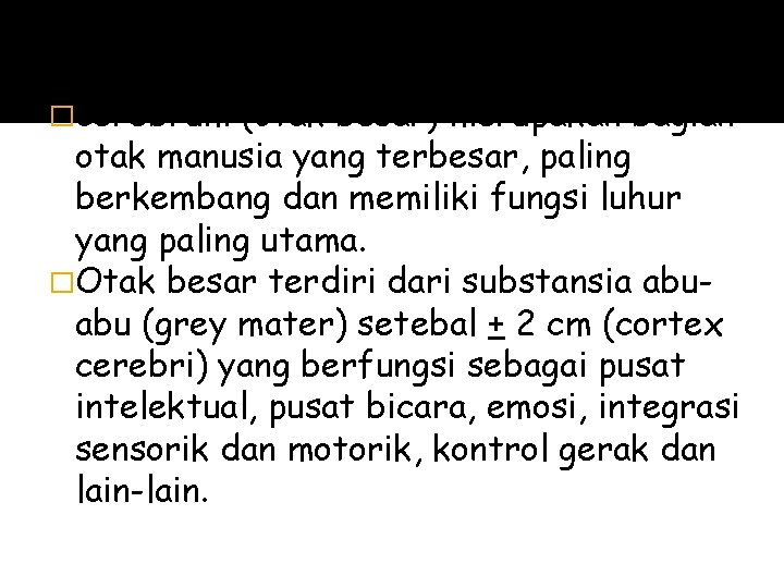 �cerebrum (otak besar) merupakan bagian otak manusia yang terbesar, paling berkembang dan memiliki fungsi