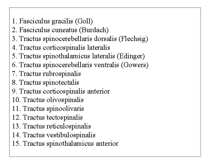 1. Fasciculus gracilis (Goll) 2. Fasciculus cuneatus (Burdach) 3. Tractus spinocerebellaris dorsalis (Flechsig) 4.