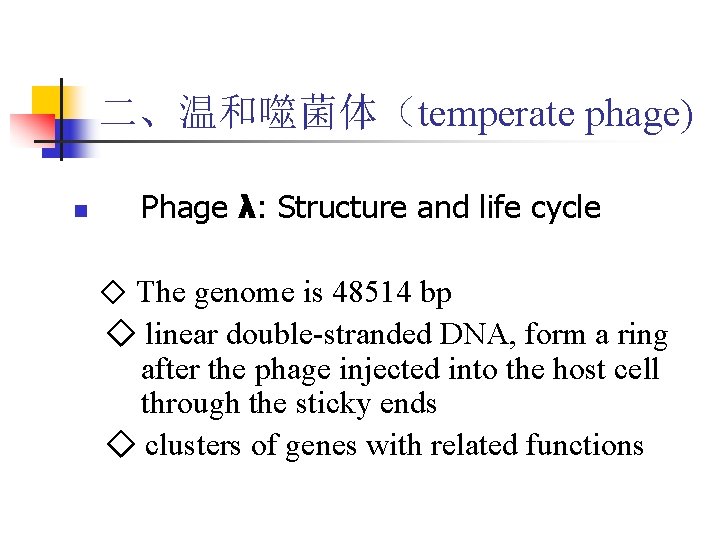 二、温和噬菌体(temperate phage) n Phage λ: Structure and life cycle ◇ The genome is 48514 二、温和噬菌体(temperate phage) n Phage λ: Structure and life cycle ◇ The genome is 48514