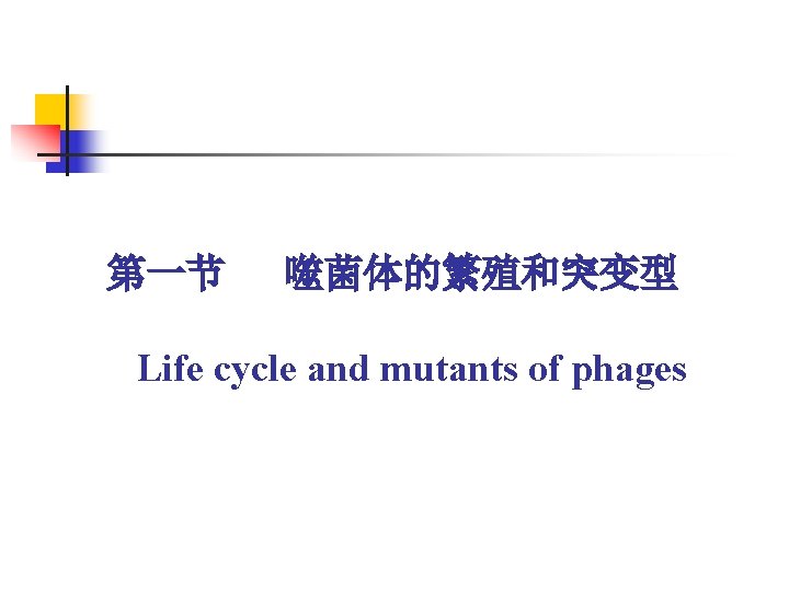 第一节 噬菌体的繁殖和突变型 Life cycle and mutants of phages 第一节 噬菌体的繁殖和突变型 Life cycle and mutants of phages