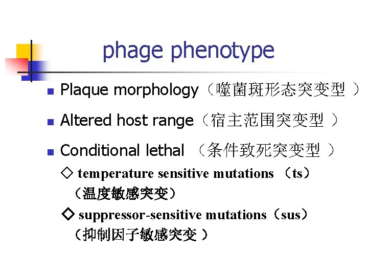 phage phenotype n Plaque morphology(噬菌斑形态突变型 ) n Altered host range(宿主范围突变型 ) n Conditional lethal phage phenotype n Plaque morphology(噬菌斑形态突变型 ) n Altered host range(宿主范围突变型 ) n Conditional lethal