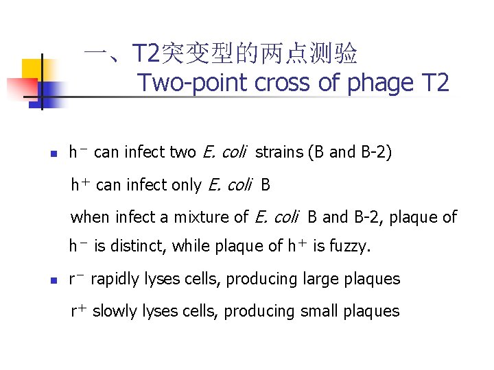 一、T 2突变型的两点测验 Two-point cross of phage T 2 n h- can infect two E. 一、T 2突变型的两点测验 Two-point cross of phage T 2 n h- can infect two E.